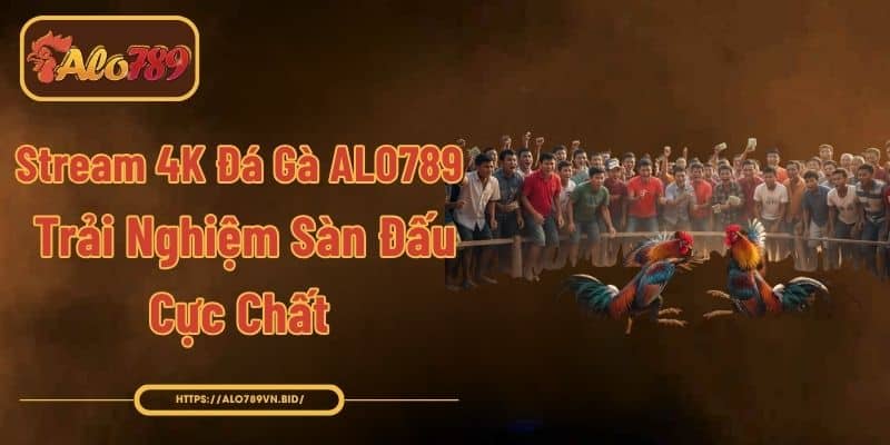Stream 4K Đá Gà ALO789